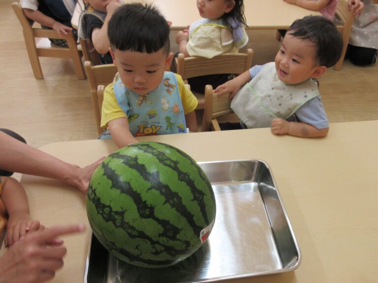 おおきなスイカ🍉（うみ組・だいち組）