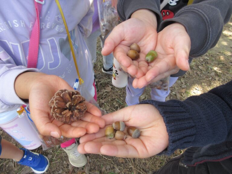 どんぐり拾いに久宝寺緑地へ！！(5歳　くじら組)