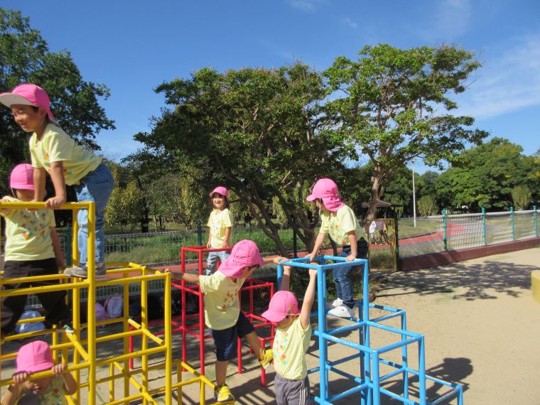 美園くじらこども園が大切にしていること